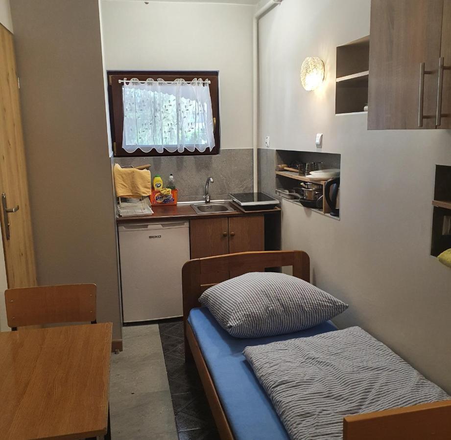 Noclegi Silesia ASTER Tychy Pokój zdjęcie